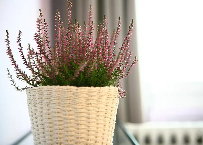 ベッド・アンド・ブレックファスト Camurana Medolla